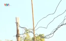 Ninh Thuận: Nguy hiểm rình rập từ những lưới điện tự phát