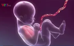 Lưu trữ máu cuống rốn: Đem lại lợi ích gì?