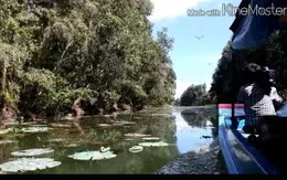 Khu bảo tồn đất ngập nước Láng Sen được công nhận là khu Ramsar thứ 7 của Việt Nam