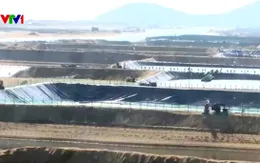 Lỏng lẻo trong công tác quản lý nuôi tôm trên cát