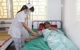 Cứu sống bệnh nhân ở Đồng Nai bị đàn ong đốt 300 mũi