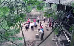 Đón xem phim tài liệu "Ở nơi rừng hát" (20h, VTV4)