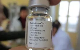 WHO khuyến cáo vẫn sử dụng vaccine Quinvaxem