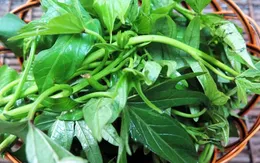 8 lý do bạn nên ăn rau lang