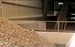 Sản lượng sắn lát khô xuất khẩu Việt Nam đạt 1,5 triệu tấn