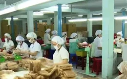 40% DN vừa và nhỏ Việt Nam sản xuất theo hướng xuất khẩu