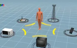 Pháp: Một phụ nữ được bồi thường do dị ứng sóng wifi