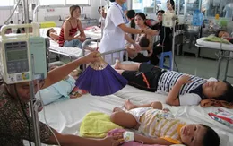 Bệnh nhân đầu tiên tử vong do sốt xuất huyết tại Bình Định