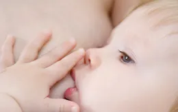 Bí kíp có nguồn sữa dồi dào ngay sau khi sinh