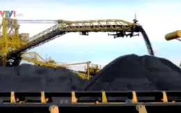 Không xuất khẩu than cám từ năm 2015