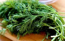 Tác dụng tuyệt vời của thì là