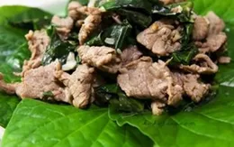Bài thuốc hay hỗ trợ trị đau nhức xương khớp