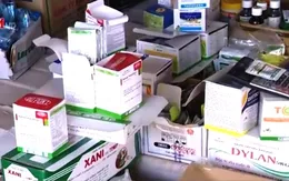 Chỉ đạo dùng thuốc BVTV tại Thái Bình: Nghiêm túc đến bất thường