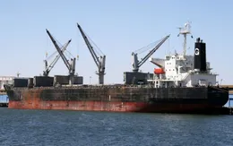 Tìm kiếm tàu Bulk Jupiter gặp nạn trên biển