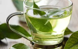 Cách uống trà xanh tốt nhất cho sức khỏe