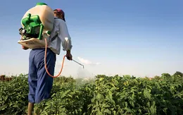 6 'sát thủ' đe dọa tính mạng gần 100 triệu người trên thế giới