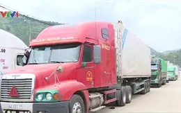 Nông sản ùn ứ do nhiều hàng đông lạnh tạm nhập tái xuất