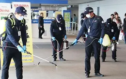 Điều tra dịch tễ liên quan tới bệnh nhân Hàn Quốc nhiễm Zika ở Việt Nam