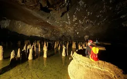 Giảm 30% giá vé thăm động Phong Nha, Tiên Sơn và Thiên Đường