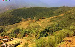 Khám phá vẻ đẹp đường lên Y Tí