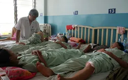 Gia tăng số người lớn mắc bệnh sốt xuất huyết