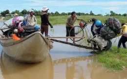 Quảng Ngãi: Người dân “ốc đảo" chen chúc qua đò mùa lũ
