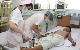 11 ca tử vong do sốt xuất huyết trên cả nước