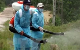 TP.HCM điều tra dịch tễ khu vực có bệnh nhân nhiễm virus Zika