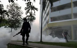 Số ca nhiễm virus Zika tại Singapore tăng lên 215 người