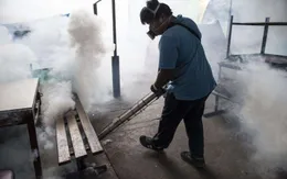 Myanmar ghi nhận ca nhiễm virus Zika đầu tiên