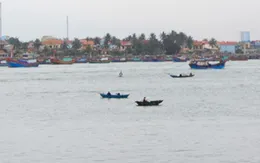 Xuất hiện cá chết rải rác vùng ven biển Quảng Bình