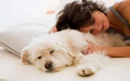 “Bí kíp” ngủ ngon khi trời nóng bức