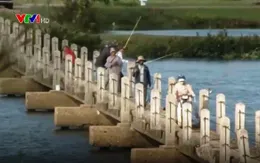 "Cầu tử thần" ở Núi Thành, Quảng Nam