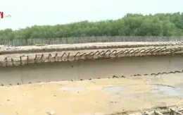 Lãng phí vốn ngân sách với hàng loạt cây cầu dang dở tại Quảng Trị