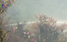 Rừng Hải Vân lại bùng cháy dữ dội