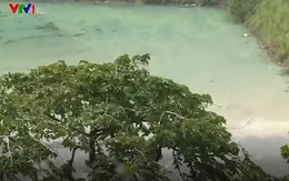 Cảnh báo nhiễm độc chì mãn tính từ nước thải khai thác quặng