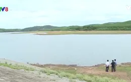 Quảng Trị chống hạn cho lúa Hè Thu