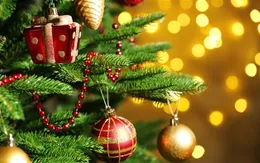 Hiểm họa đằng sau những cây thông Noel