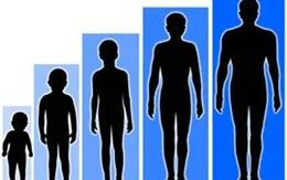 Ba giai đoạn “vàng” cho phát triển chiều cao