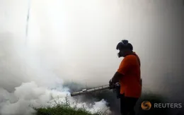 Thái Lan đứng trước nguy cơ bùng phát dịch Zika
