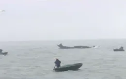 Tái diễn tình trạng khai thác thủy sản trái phép tại cảng Chân Mây