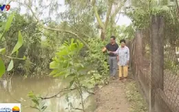 Bạc Liêu: Không khởi tố tranh chấp đất công là đúng