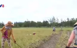 Khó khăn về đất sản xuất trong chuyển đổi nghề cho ngư dân