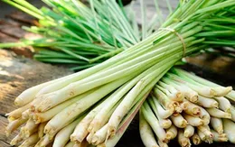 9 bài thuốc trị đau bụng do nhiễm lạnh