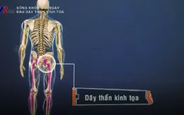 Điều trị bệnh đau dây thần kinh tọa bằng Đông y