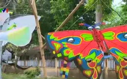 Festival Huế 2016: Diều ba miền khoe sắc