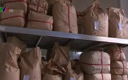“Lỗ hổng” trong quản lý thị trường thuốc Đông dược