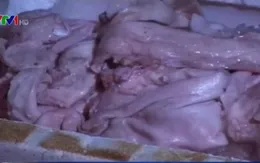 Quảng Nam: Bắt gần 4 tấn sản phẩm động vật hôi thối