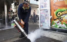 Châu Á tăng cường cảnh giác với virus Zika