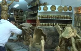 Các cửa hàng Giáng sinh Bethlehem trước thách thức từ hàng nhập khẩu